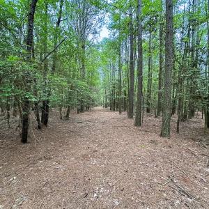 Photo #37 of Off Kegotank Rd, Nelsonia, VA 93.0 acres