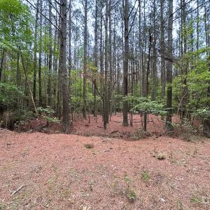 Photo #38 of Off Kegotank Rd, Nelsonia, VA 93.0 acres