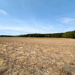 Photo #5 of Off Kegotank Rd, Nelsonia, VA 195.0 acres