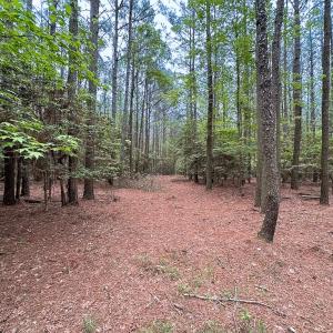 Photo #26 of Off Kegotank Rd, Nelsonia, VA 195.0 acres