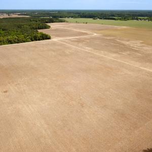 Photo #37 of Off Kegotank Rd, Nelsonia, VA 195.0 acres