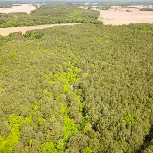 Photo #3 of Off Kegotank Rd, Nelsonia, VA 10.5 acres