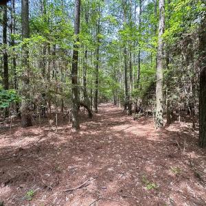 Photo #5 of Off Kegotank Rd, Nelsonia, VA 10.5 acres