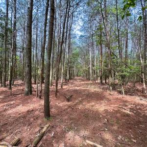 Photo #7 of Off Kegotank Rd, Nelsonia, VA 10.5 acres