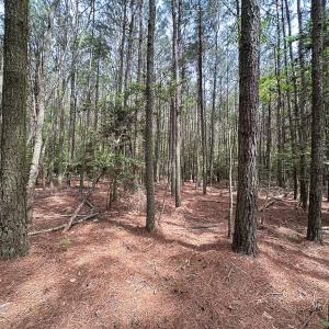 Photo #9 of Off Kegotank Rd, Nelsonia, VA 10.5 acres