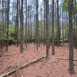 Photo #14 of Lot 7 - Off Kegotank Rd, Nelsonia, VA 1.7 acres