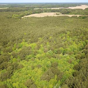 Photo #2 of Lot 8 - Off Kegotank Rd, Nelsonia, VA 1.7 acres