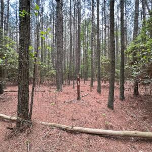 Photo #12 of Lot 8 - Off Kegotank Rd, Nelsonia, VA 1.7 acres