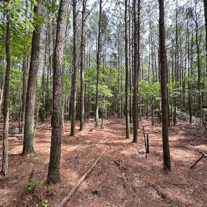 Photo #12 of Lot 2 - Off Kegotank Rd, Nelsonia, VA 1.8 acres