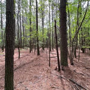 Photo #9 of Lot 3 - Off Kegotank Rd, Nelsonia, VA 2.0 acres