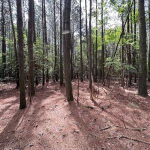 Photo #11 of Lot 3 - Off Kegotank Rd, Nelsonia, VA 2.0 acres