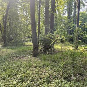 Photo #11 of Off Murray Rd, Winston Salem, NC 0.5 acres