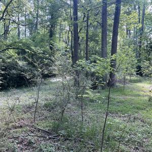 Photo #4 of Off Murray Rd, Winston Salem, NC 0.5 acres