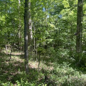 Photo #21 of Off Murray Rd, Winston Salem, NC 0.5 acres