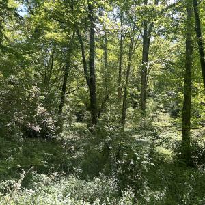 Photo #27 of Off Murray Rd, Winston Salem, NC 0.5 acres