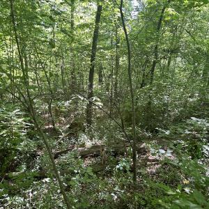 Photo #28 of Off Murray Rd, Winston Salem, NC 0.5 acres