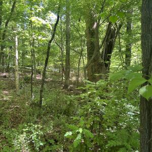 Photo #29 of Off Murray Rd, Winston Salem, NC 0.5 acres