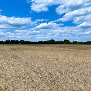 Photo #15 of Off West Rd, Chesapeake, VA 23.6 acres