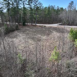 Photo #5 of 02 Pine Grove Church Road, Eagle Springs, NC 10.9 acres