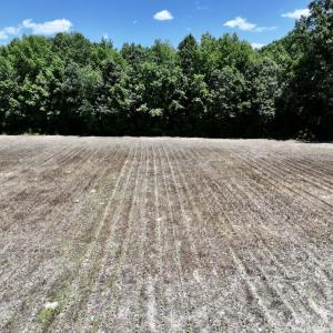 Photo #14 of Off Highway 48, Littleton, NC 4.6 acres