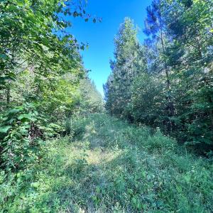 Photo #65 of Off Warrenton Embro Rd, Macon, NC 149.8 acres