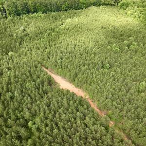 Photo #75 of Off Warrenton Embro Rd, Macon, NC 149.8 acres