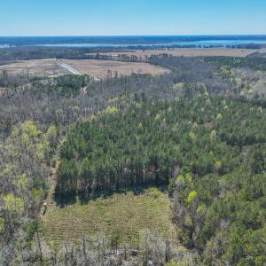 Photo #17 of 368 Soundside Rd, Columbia, NC 280.0 acres