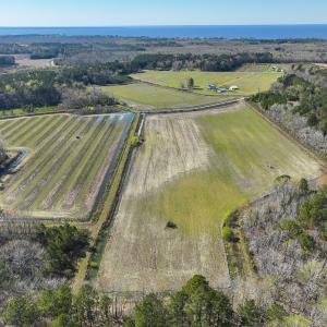 Photo #9 of 368 Soundside Rd, Columbia, NC 280.0 acres