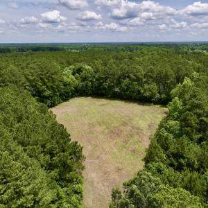 Photo #13 of Off Wilcox Ln, Vanceboro, NC 57.8 acres