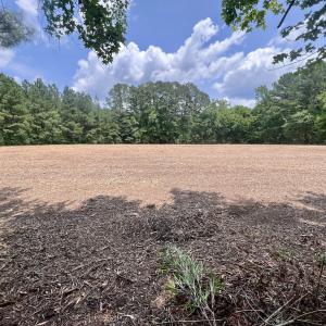 Photo #14 of Off Wilcox Ln, Vanceboro, NC 57.8 acres