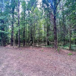 Photo #25 of Off Wilcox Ln, Vanceboro, NC 57.8 acres