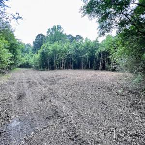 Photo #32 of Off Wilcox Ln, Vanceboro, NC 57.8 acres