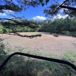 Photo #36 of Off Wilcox Ln, Vanceboro, NC 57.8 acres