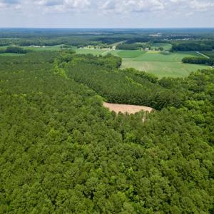 Photo #6 of Off Wilcox Ln, Vanceboro, NC 57.8 acres