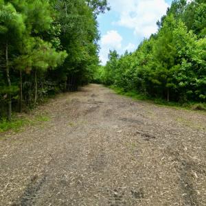 Photo #44 of Off Wilcox Ln, Vanceboro, NC 57.8 acres