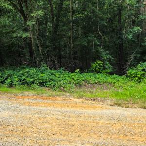 Photo #14 of Off Green Pasture Lane, Ruffin, NC 1.5 acres