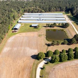 Photo #13 of 724 Josey Williams Rd, Erwin, NC 23.5 acres