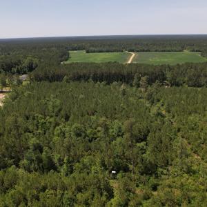 Photo #14 of Off Old Lake Road, Council, NC 2.4 acres