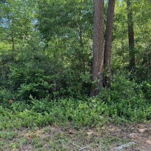 Photo #18 of Off Old Lake Road, Council, NC 2.4 acres