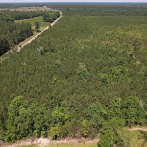 Photo #19 of Off Old Lake Road, Council, NC 2.4 acres