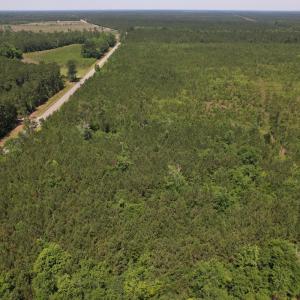 Photo #20 of Off Old Lake Road, Council, NC 2.4 acres