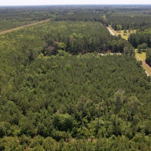 Photo #3 of Off Old Lake Road, Council, NC 2.4 acres