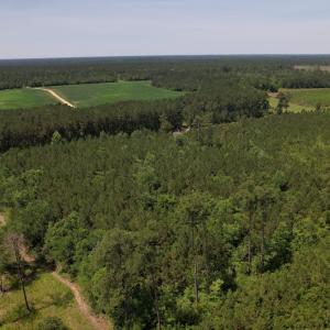 Photo #8 of Off Old Lake Road, Council, NC 2.4 acres