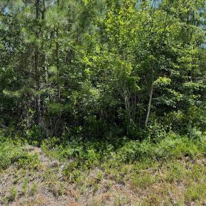 Photo #10 of Off Old Lake Road, Council, NC 2.4 acres