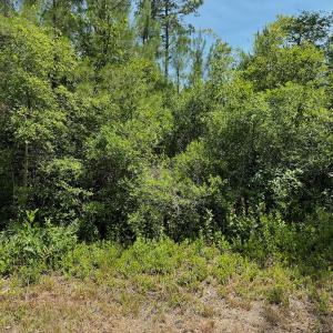 Photo #23 of Off Old Lake Road, Council, NC 2.4 acres