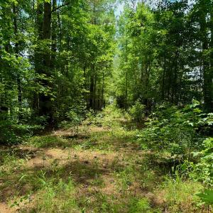 Photo #20 of Off Two Mile Desert Road, Hertford, NC 12.0 acres