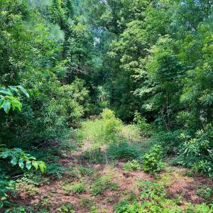 Photo #26 of Off Two Mile Desert Road, Hertford, NC 12.0 acres