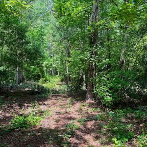 Photo #32 of Off Two Mile Desert Road, Hertford, NC 12.0 acres