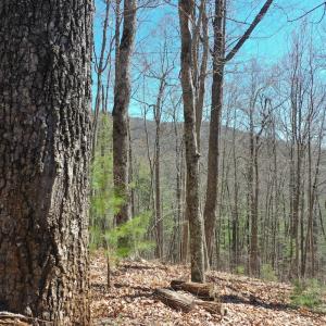 Photo #3 of Off Olde Stone Rd Lot 47, Crumpler, NC 5.3 acres