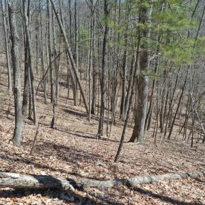 Photo #6 of Off Olde Stone Rd Lot 47, Crumpler, NC 5.3 acres